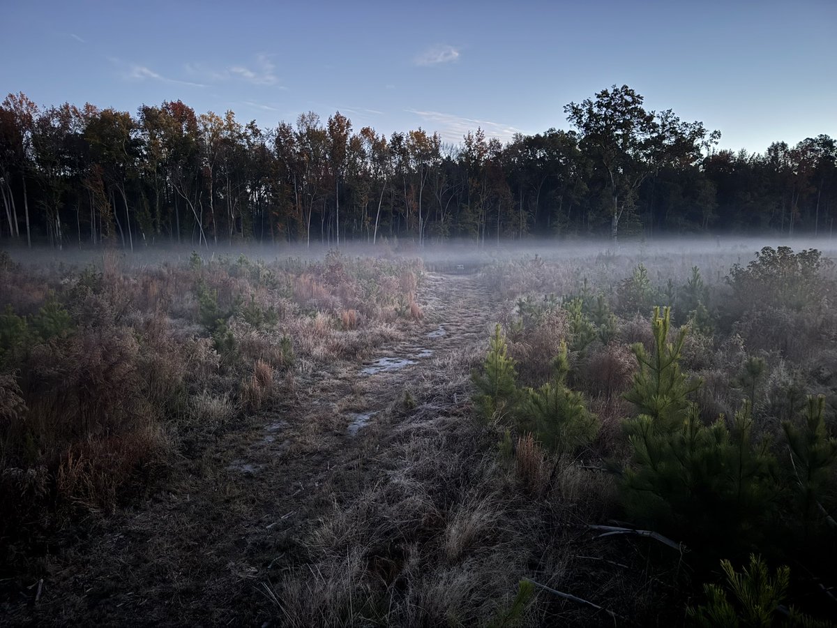 Good Morning from my stand in SC