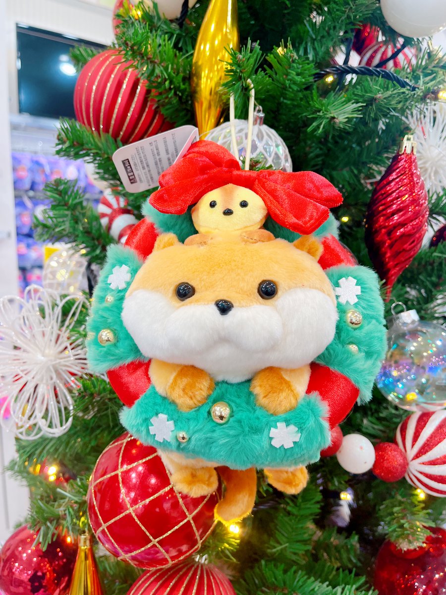 ⭐️#可愛い嘘のカワウソ 📢11月14日(金)発売✨ 『可愛い嘘のカワウソ