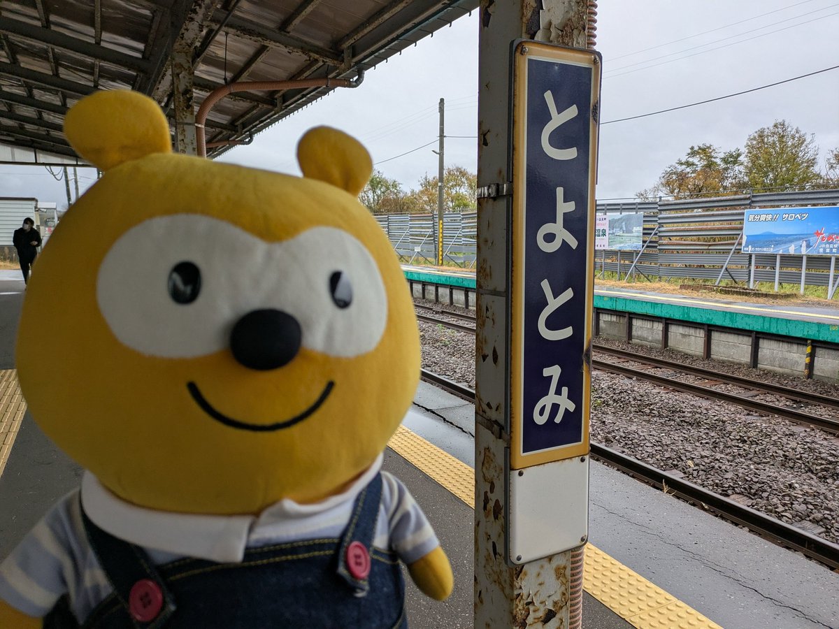 ポンタを愛する活動