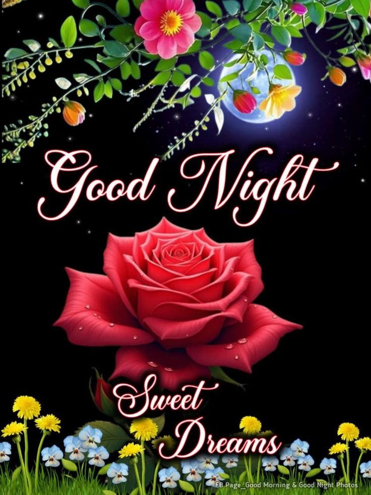 Оройн мэнд. 
Сайхан амраарай.