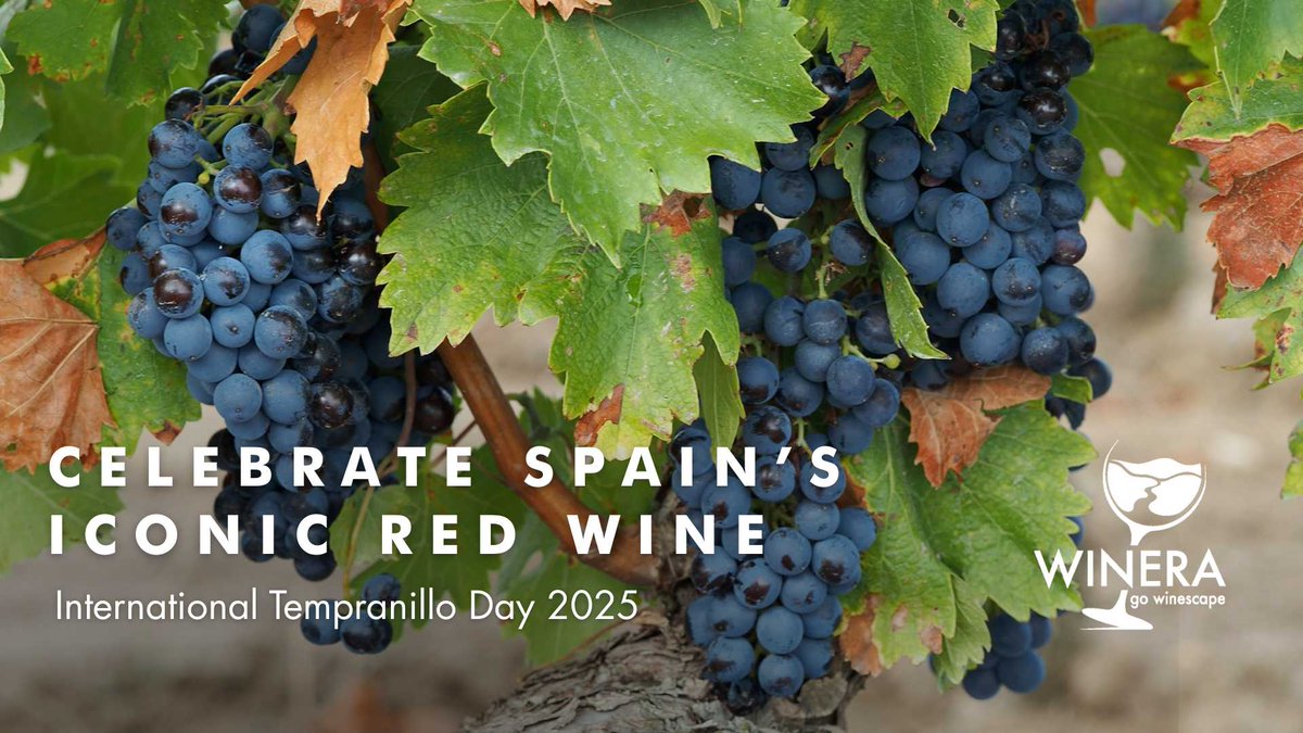 International Tempranillo Day on November 13, 2025, celebrates Spain’s flagship red grape!
Read more: tinyurl.com/yc29f6yn
#Winera #Travellier #wine #Tempranillo #InternationalTempranilloDay2025