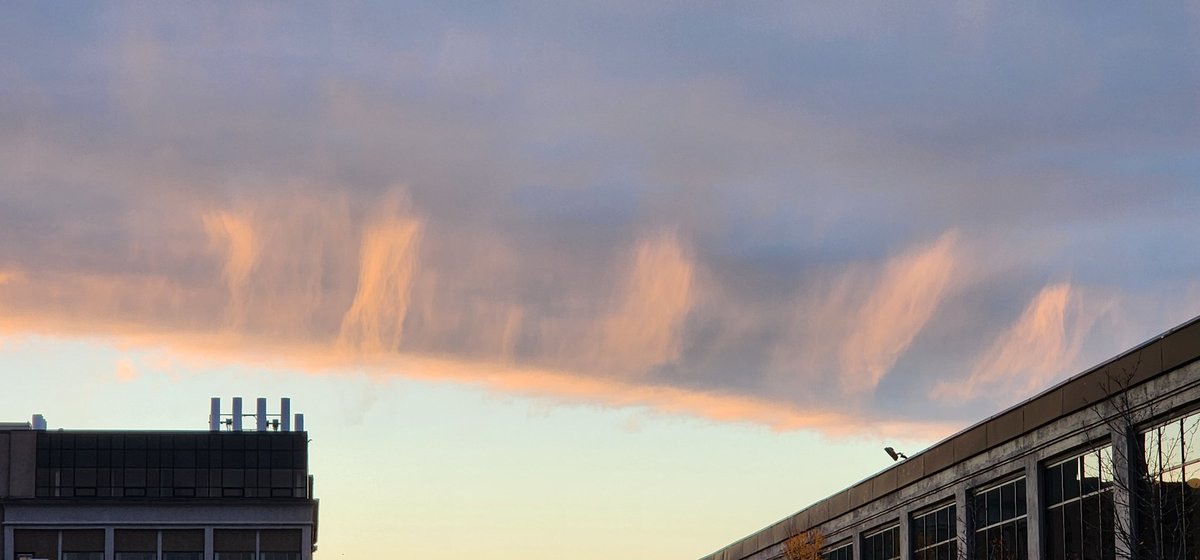 String clouds? Aurora clouds? 🤣🤷