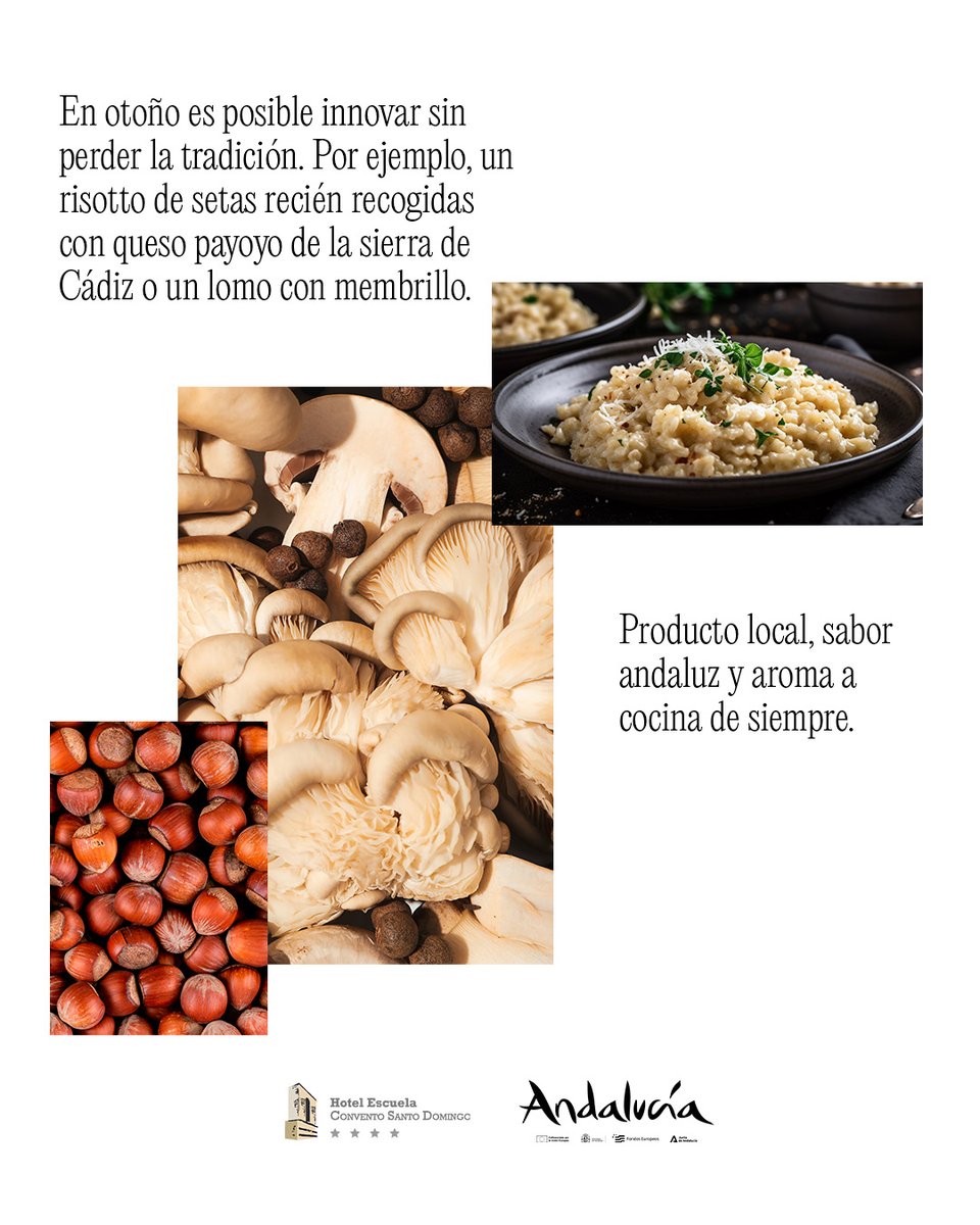 El otoño trae a Andalucía aromas de siempre, sabores cálidos y auténticos y platos de buen “cuchareo” y encuentros familiares. Una estación para cocinar lento y reinventar la tradición 🍂 #RaícesyRecetas

teleformacion.andalucia.org