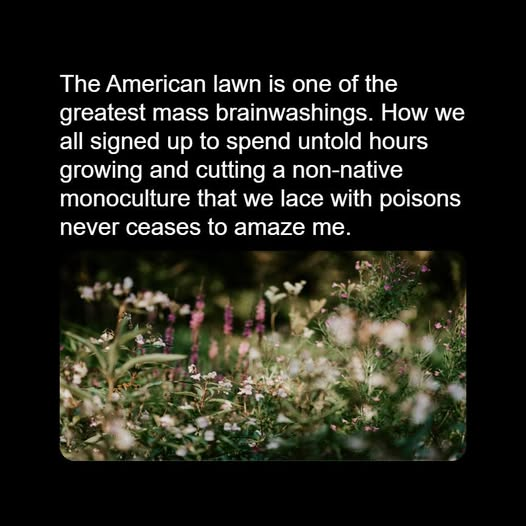 Carola Blaney🍃💚🍃 (@blaneycarola) on Twitter photo 