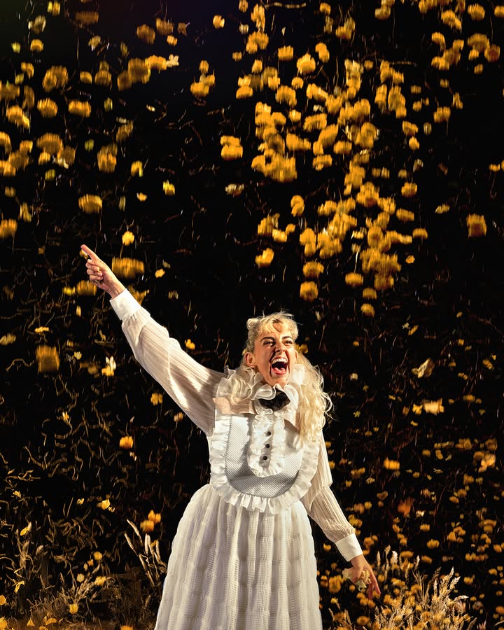 SydneyTheatreCompany tweet media