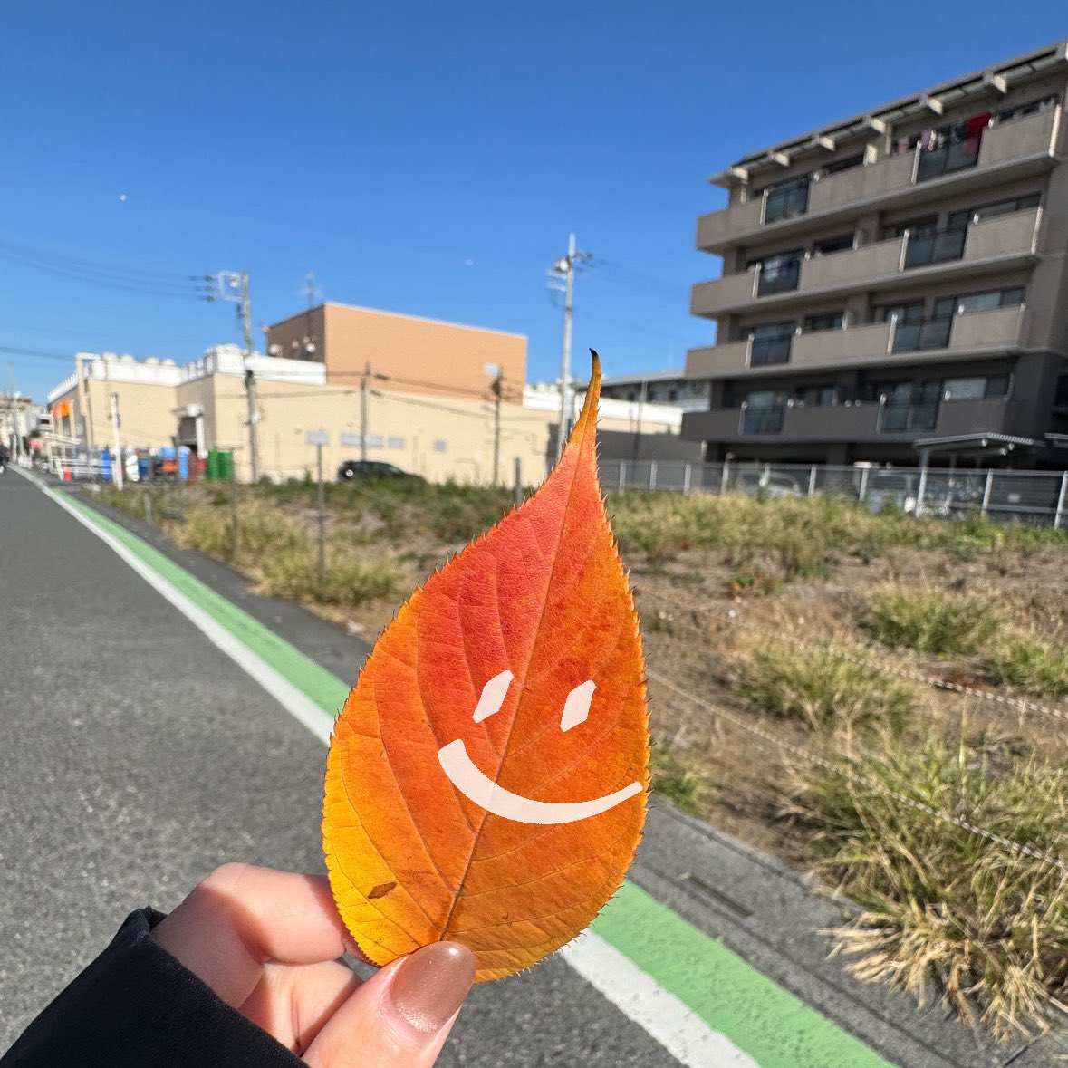 din0_88's tweet image. こんばんは！X久しぶり🫣💖
こんなにも元気なHAPPYガールですが
先日適応障害と診断され
本業休職中でございまする👉🏻👈🏻💦
体調も良くなりつつあるので
朝活復活？？？！！
明日の自分に乞うご期待💞✨️
 #ウェブフリ #フリキャン #おやすみ