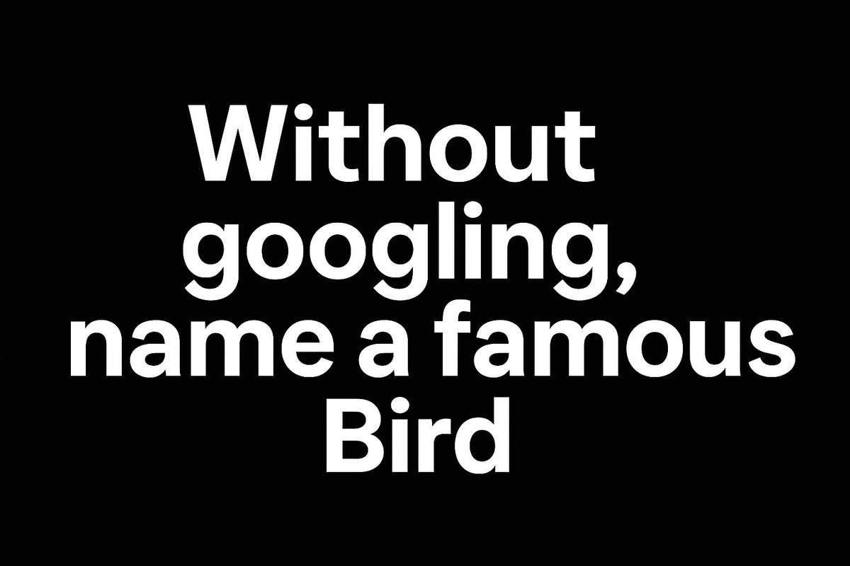 oelma__'s tweet image. Name a famous bird..