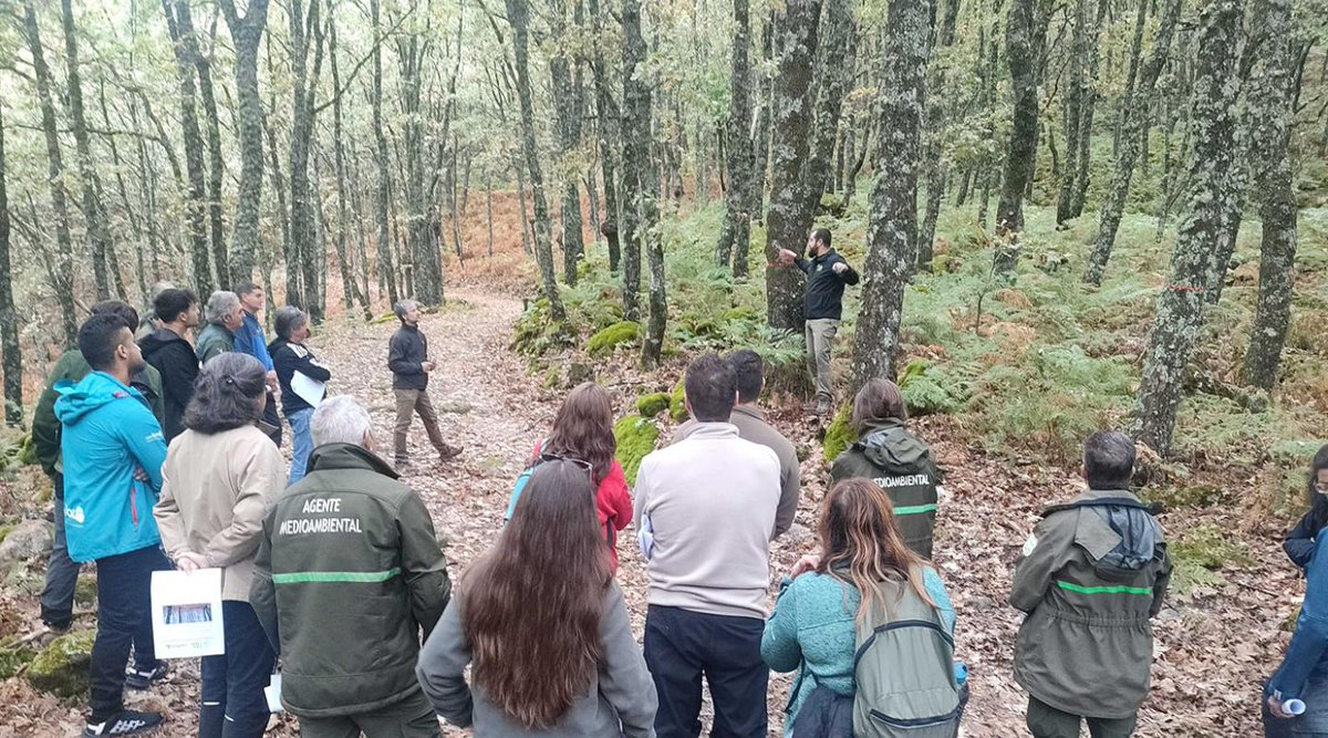 Celebramos un nuevo #RebolloLab en Poyales del Hoyo (Ávila) 🌳
En el marco de #Liferebollo, seguimos compartiendo conocimiento sobre selvicultura próxima a la naturaleza y gestión sostenible de los #rebollares.

👉 Madera de calidad, productos duraderos y compromiso