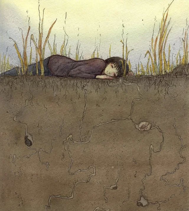 this is what i do! 🪼 (@jking_24) on Twitter photo 