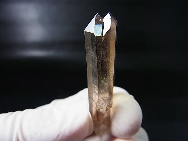 五條瑛 Perfect Quartz 完璧なる水晶・葉山編 - 文学・小説新 デザイン