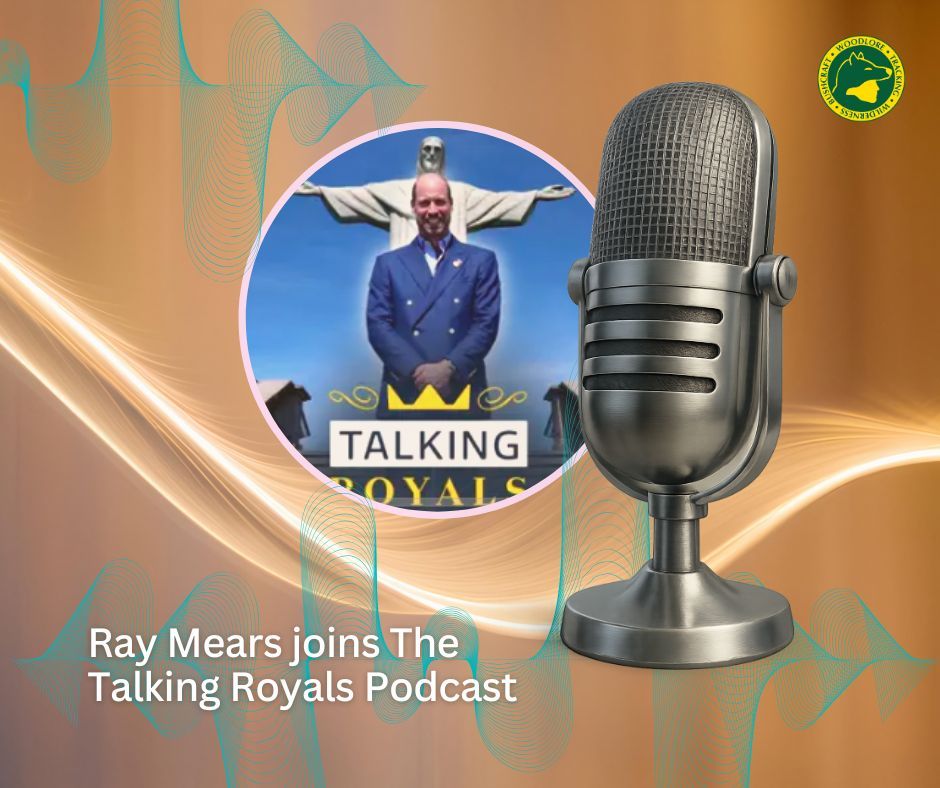 Ray_Mears's tweet photo. Ray Mears joins The Talking Royals Podcast to share his perspective on Prince Williamโs conversation about the COP event in Brazil. ๐
Listen here https://t.co/KUCdzKetD1
#RayMears #PrinceWilliam #TheTalkingRoyals #COPBrazil #Conservation #Podcast #Sustainability #Nature https://t.co/Jj3FsGKgKP