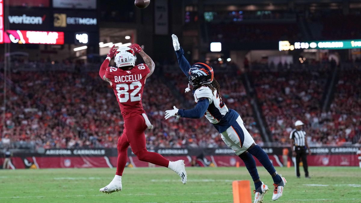 Cards_Wire's tweet image. Arizona Cardinals place WRs Zay Jones, Simi Fehoko on IR; sign WR Andre Baccellia cardswire.usatoday.com/story/sports/n…