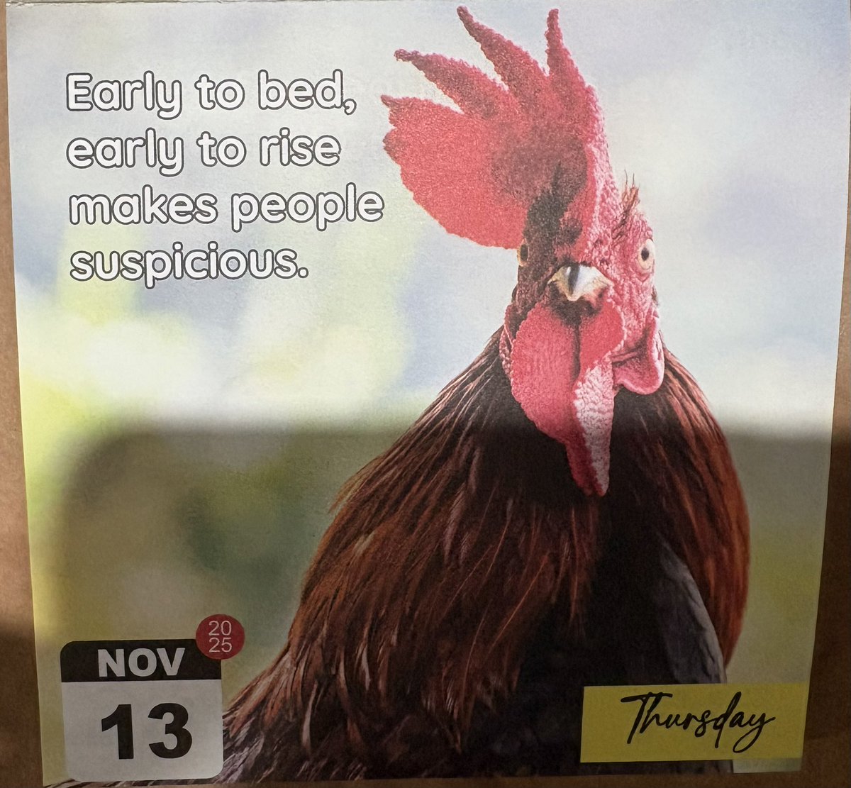 Matt (@jacobs329) on Twitter photo 