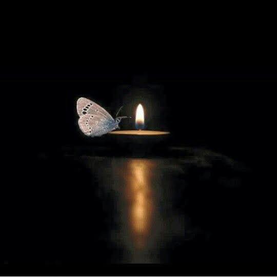 وإن سألوك عني قل لهم :
كانت تحمل قلبا يوسفي الجمال ،
رقيقة كفراشة ،
أحبتني بصدق فاحترقت ..