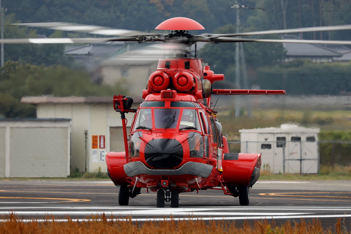 MIRACLE WORKS 阿修羅 レッドベリー 9cm 小さな悪魔 ruruko Darkness RED - PetWORKs Store