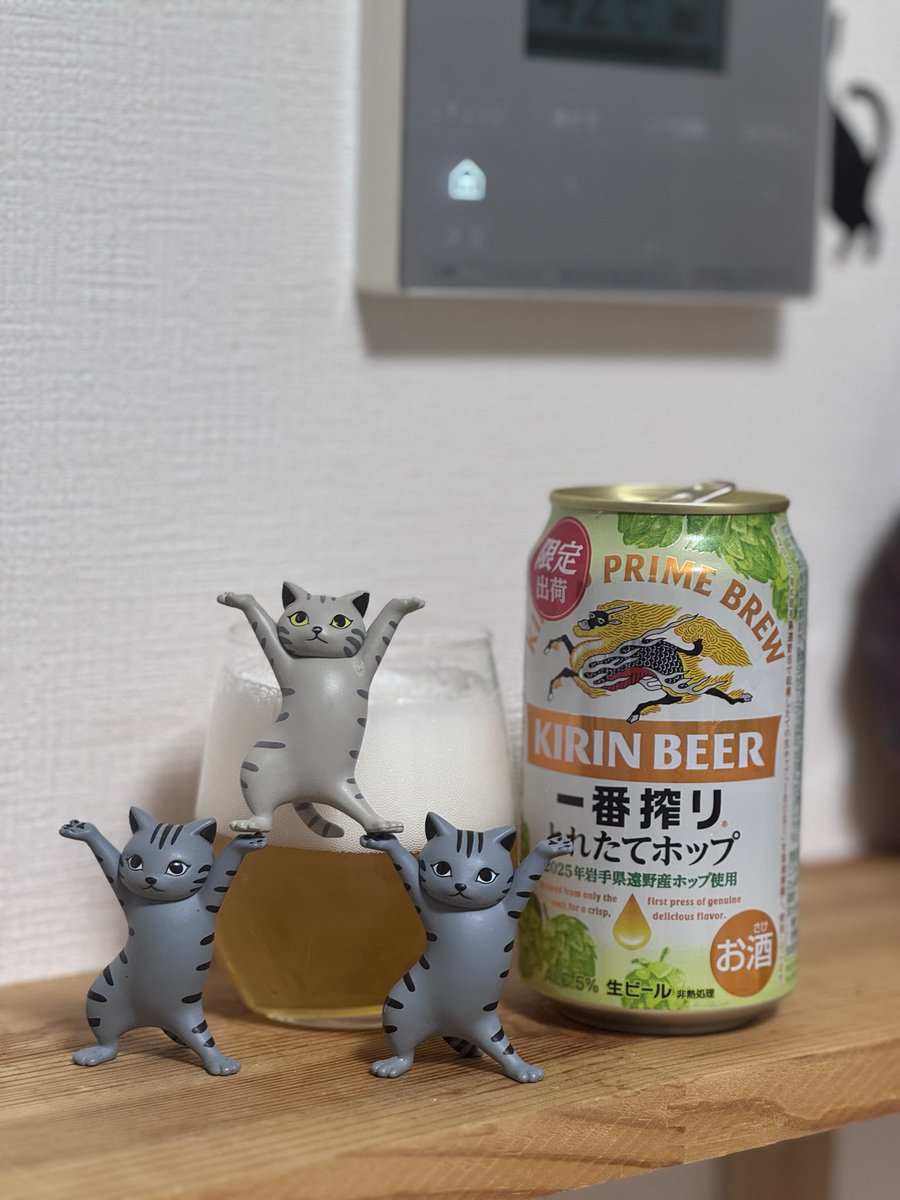 アマンダ 誤字脱字絶好調 (@amannda810) / Posts / X