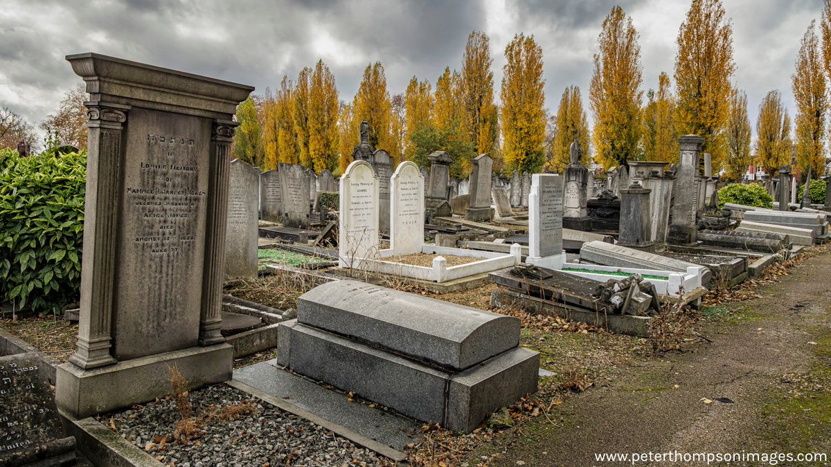 Find a moment of peace among the golden trees of Willesden Jewish Cemetery. Wander through history, breathe in the stillness and discover beauty in reflection and nature. 🍁 Discover the calm of Willesden this autumn.
Photo: Peter Thompson
#LondonParks #urbancemetery