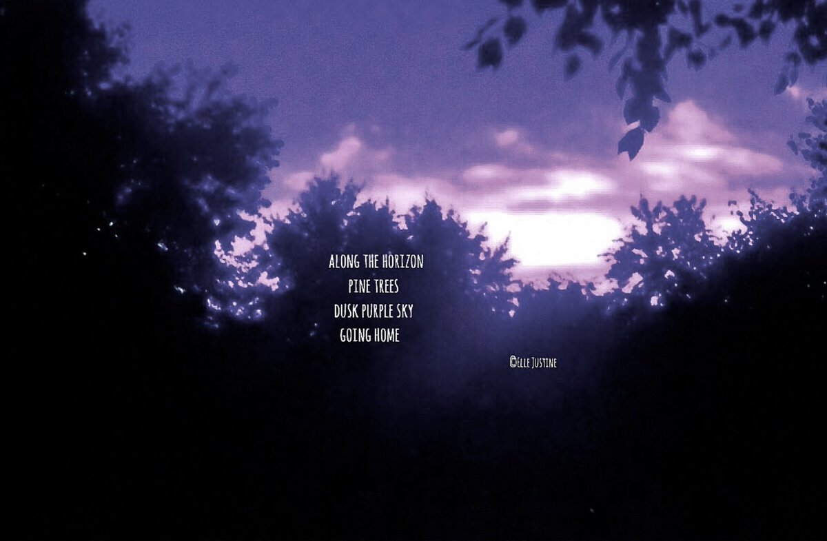 along the horizon 
pine trees
dusk purple sky
going home…