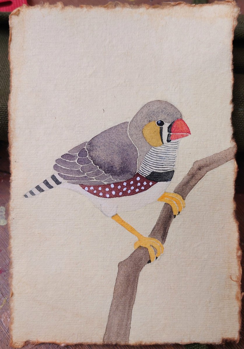 ２枚目はリクエストもらったキンカチョウ。

この紙でこの感じに描くのはだいぶ慣れてきました。

この紙だと背景描かなくても完成しちゃうんだけど、それはちょっと悔しくもあり。

#水彩
#水彩画
#watercolor
#キンカチョウ