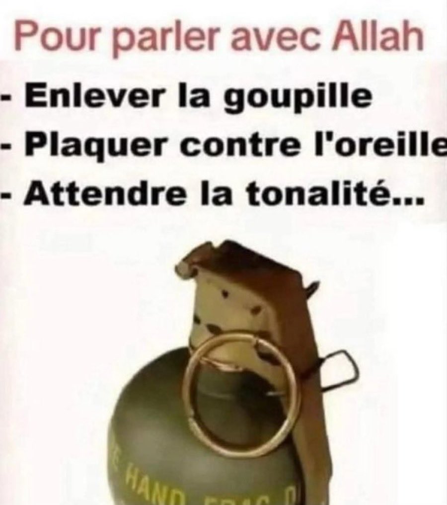 Conseils pratiques pour les islamistes ..