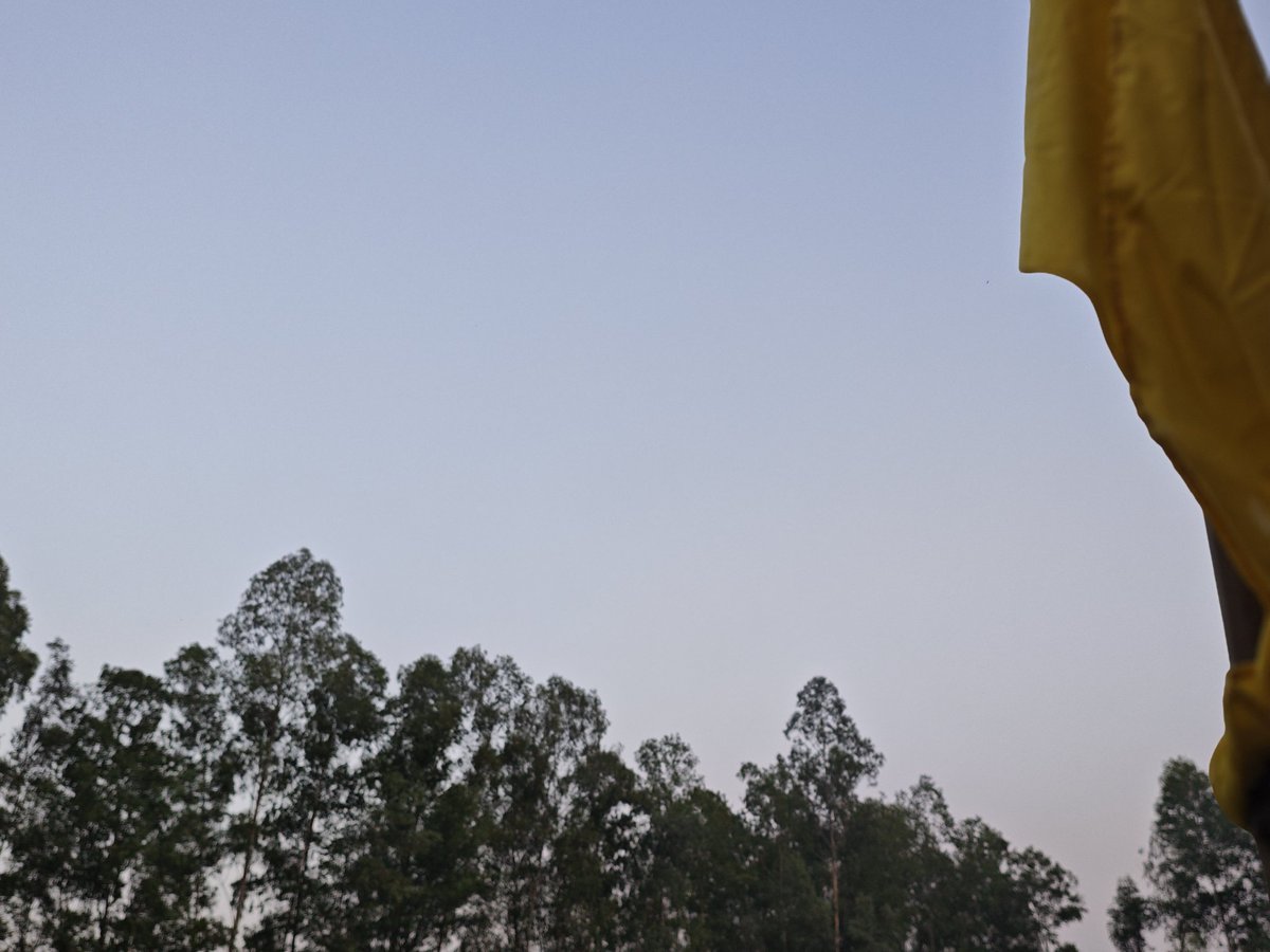 Feel Sky Vibe My Brother