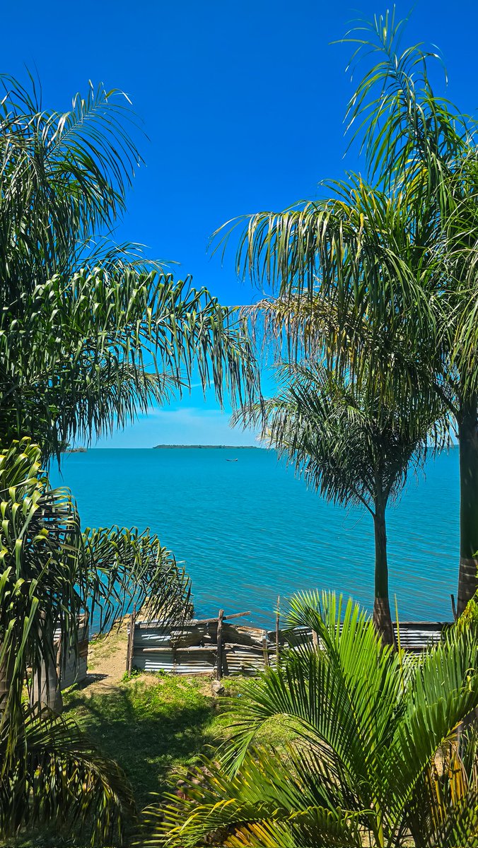 mercymurugi's tweet image. Luanda Kotieno