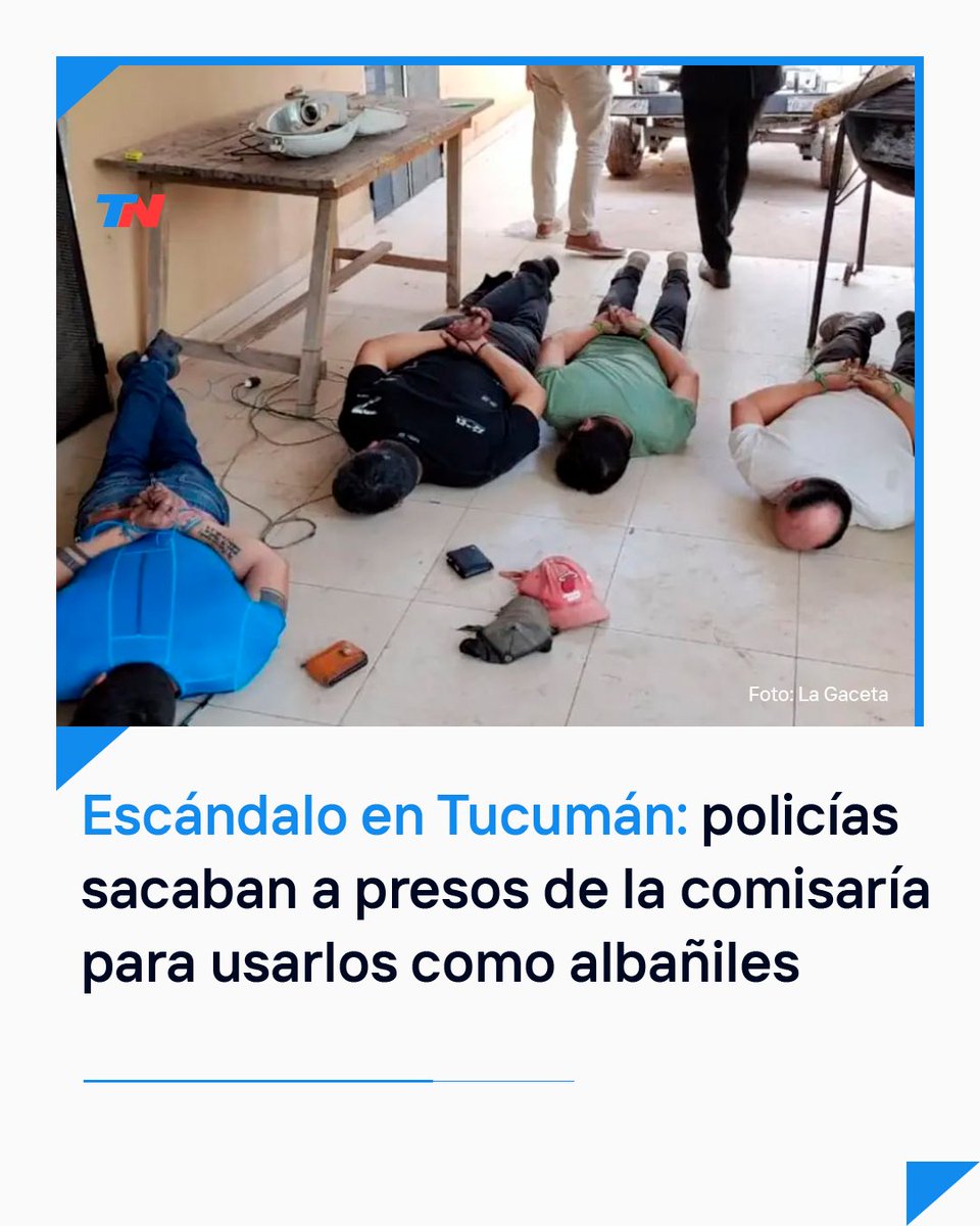 TN - Todo Noticias tweet media