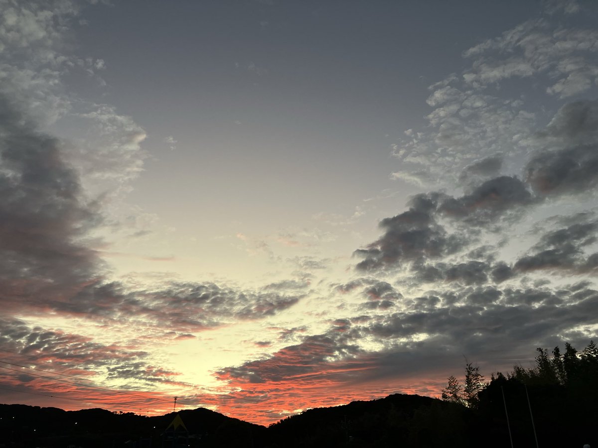 MAYU (@WKrPCHMxcU72P9I) / Posts / X