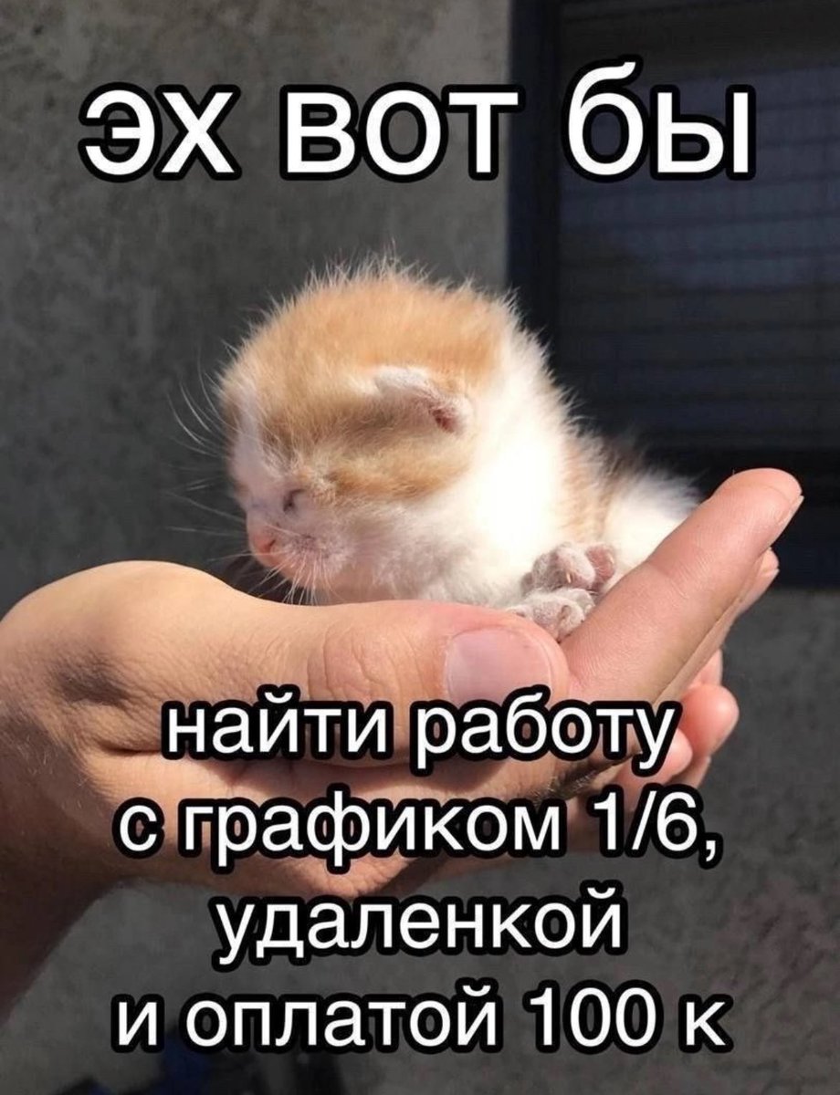 ужасные мемы (@liltonder) on Twitter photo 