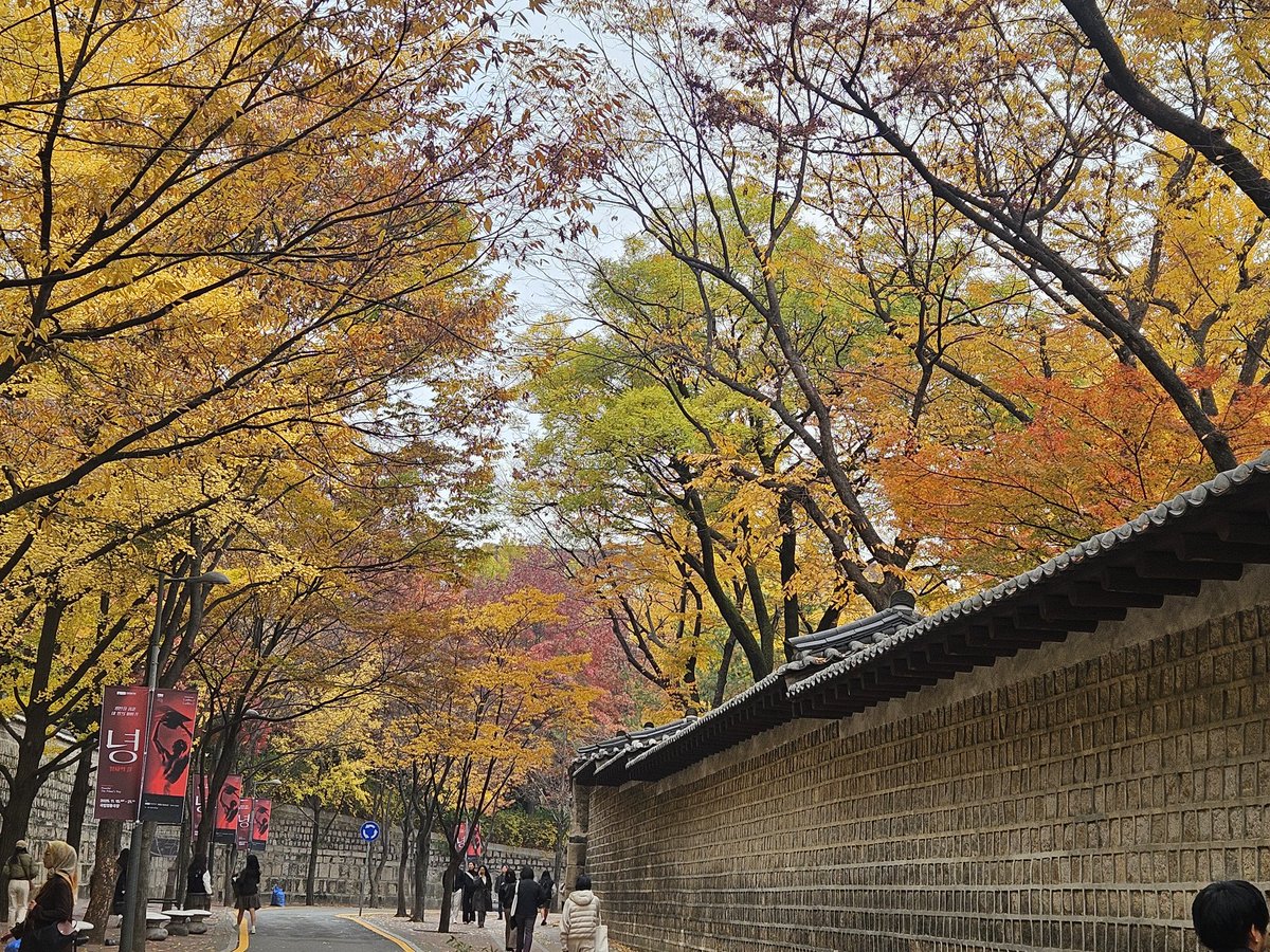 요즘은 어디를 가도
다 이쁘네요