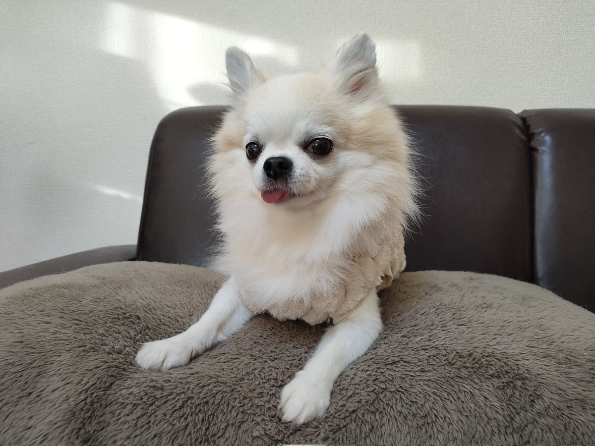 じゅんじゅん (@junjun_kana) / Posts / X