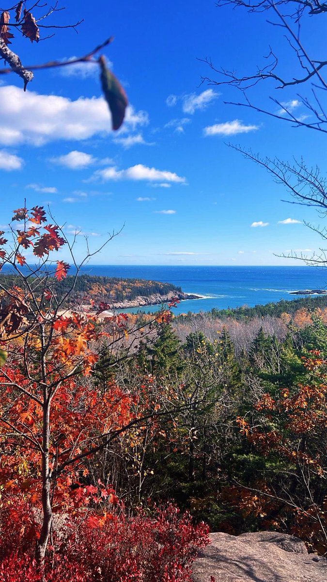 Harvard Global Surgery tweet media