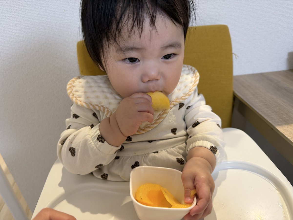 ぺんぎんナッツ中村陽介 tweet media
