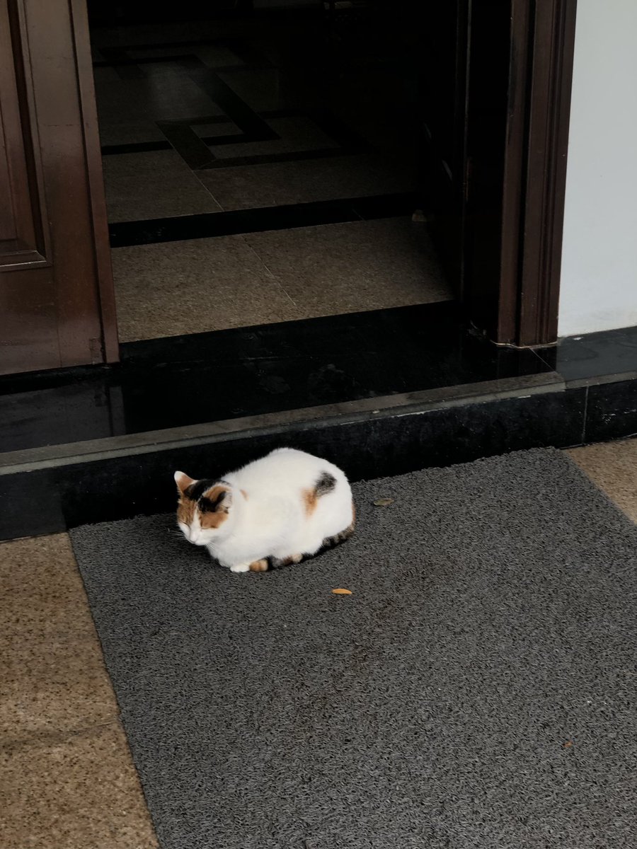 Cimcime (@dollywita) on Twitter photo 