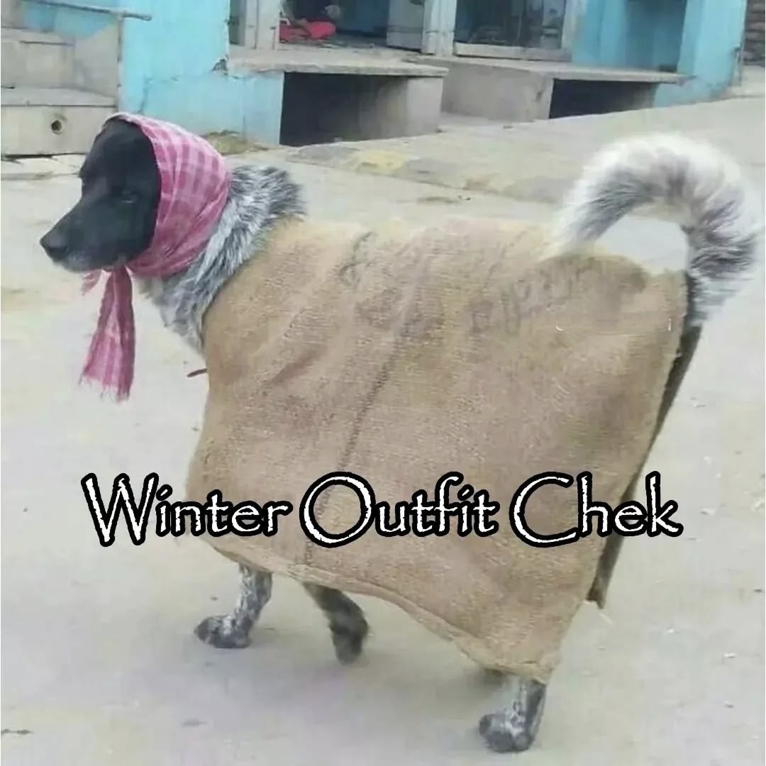 Winter outfit check karo doston ⛄🙂‍↔️