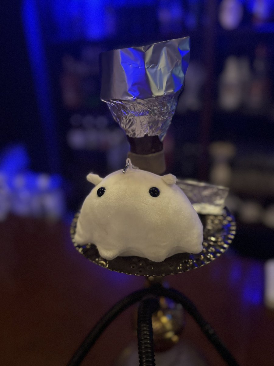 今日の賄いシーシャ
タイガ、シガー、ジャスミン

渋いですが、フローラルみもあり甘くないのが好きな方におすすめ