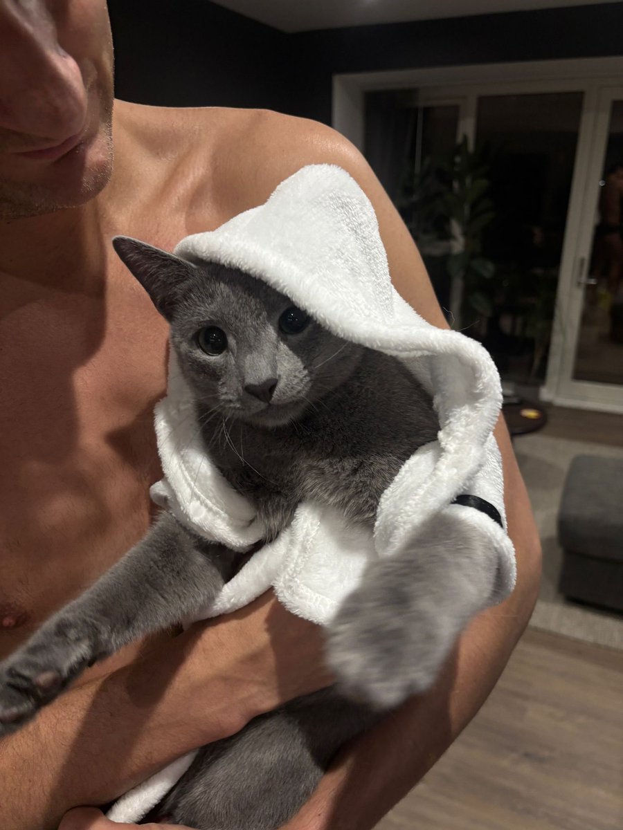 Oh Gecko is ready for winter