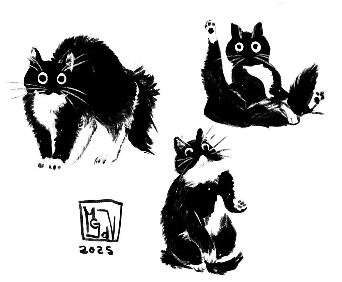 Maria Giada del Vecchio/ Deddelit tweet media