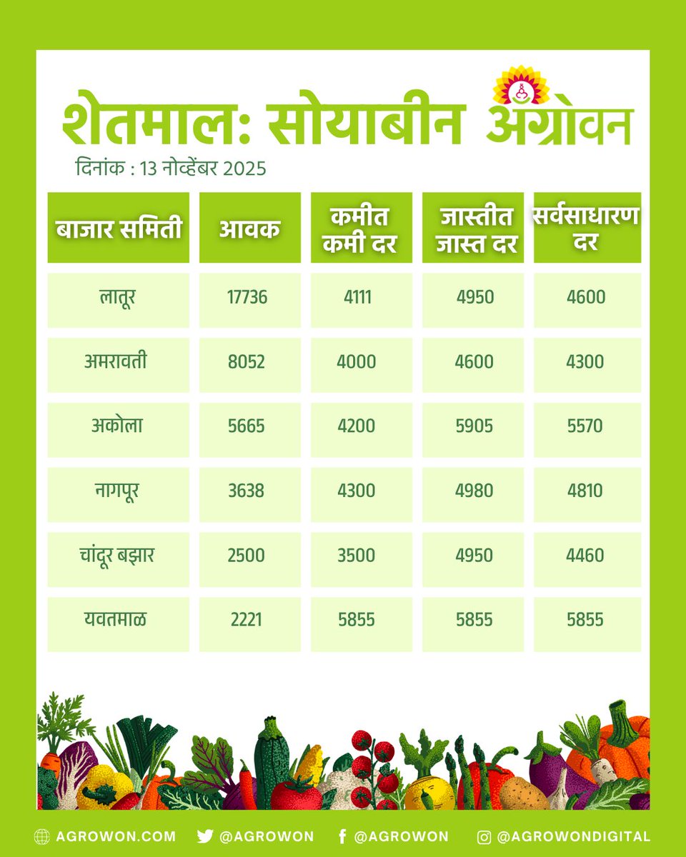 AGROWON's tweet photo. राज्यात कांदा, सोयाबीन, बटाटा, टोमॅटोच्या किमती काय आहेत? कोणत्या पिकाच्या किमती वाढल्या आहेत, कोणत्या पिकाच्या किमतीत घसरण झाली आहे. हे जाणून घेण्यासाठी पाहा काय आहे आजचा बाजारभाव
#OnionPrice #SoybeanRate #MaizePrice #TomatoRate #MarketPriceUpdate #AgriMarket #FarmersUpdate https://t.co/i0Dlxu9B9J