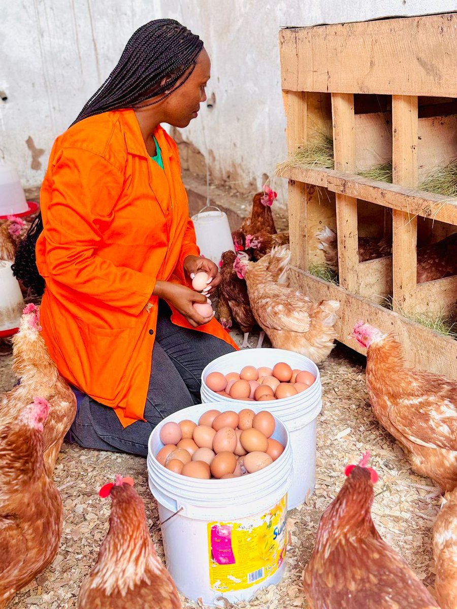 Rafiki GATSINZI tweet media