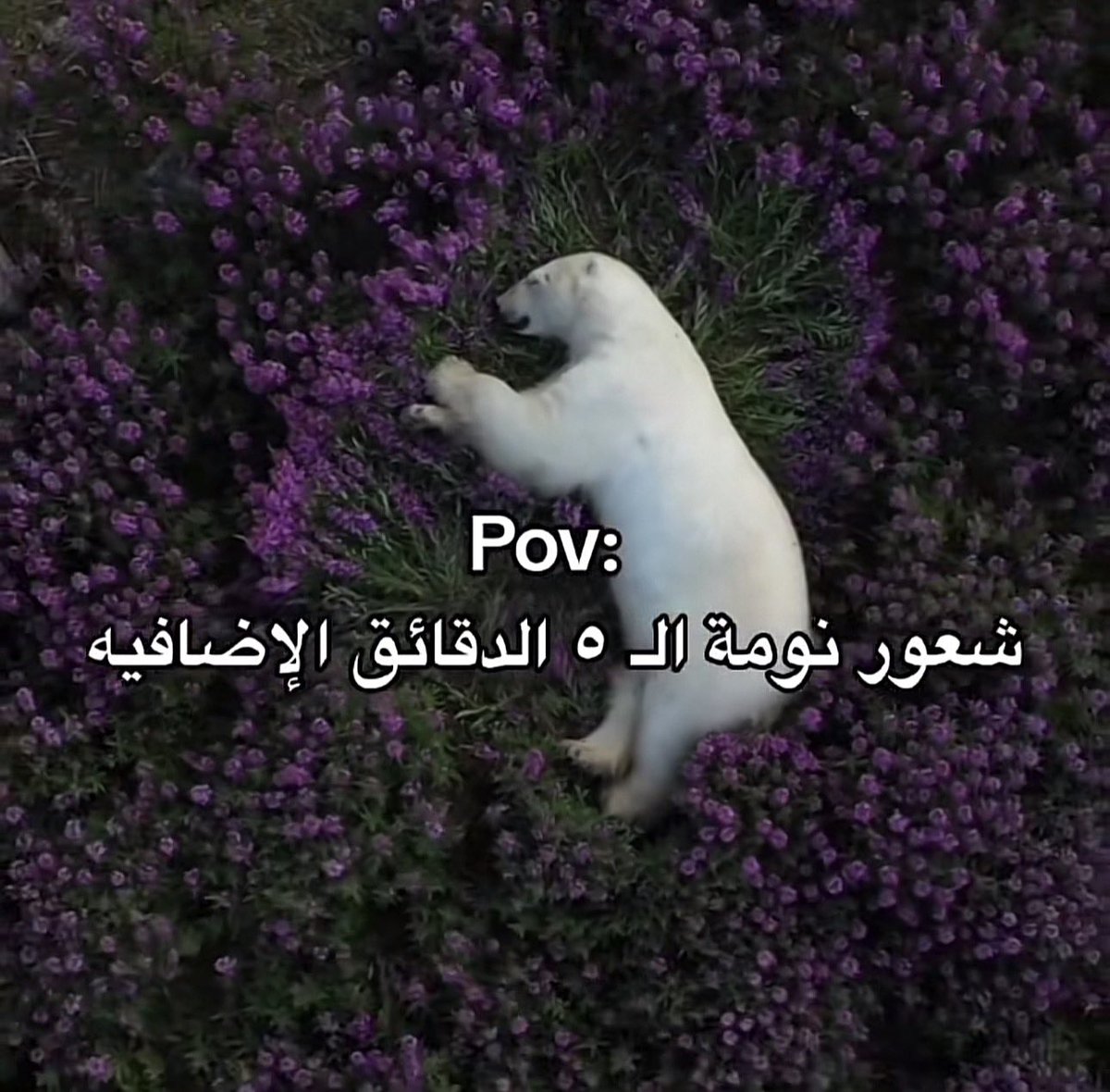 WA (@wa364w) on Twitter photo 