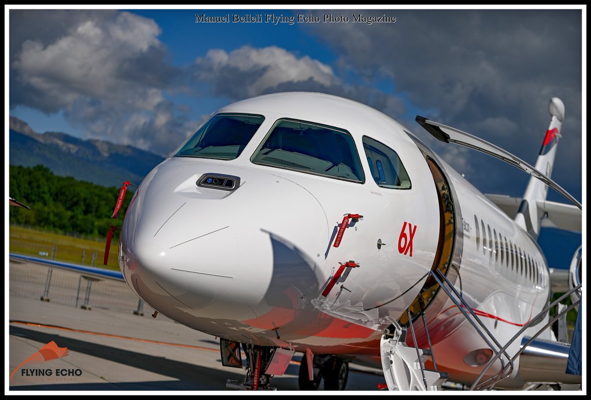 M BELLELI tweet media