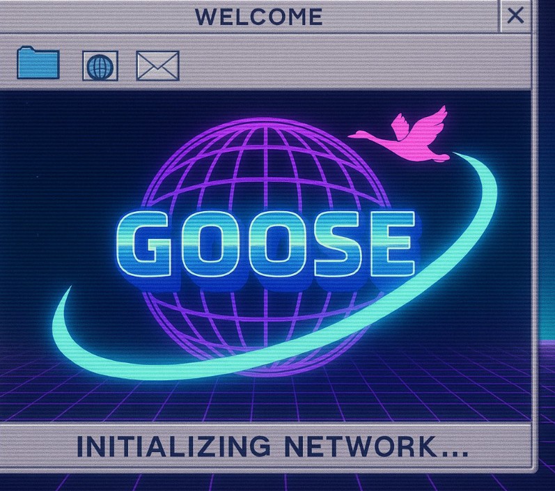 raydium.io/launchpad/toke…

$BGM organic growth 
Based Goose.