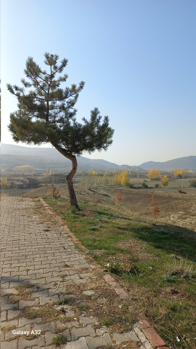" Neden öyle sessiz duruyorsun öyle?
Şarkın mı tükendi dersin, 
biten günle,
Yoksa gün mü bitti 
Şarkınla beraber?"

     Cahit Sıtkı Tarancı

           🦋

"  Biraz zaman geçsin 
Her seyi unutacaksın 

Biraz zaman geçsin 
Her şey seni unutacak "

     Marcus Aurellius