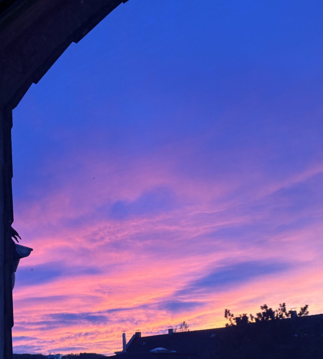 irreplaceableei's tweet image. 내가 좋아하는 우리 집