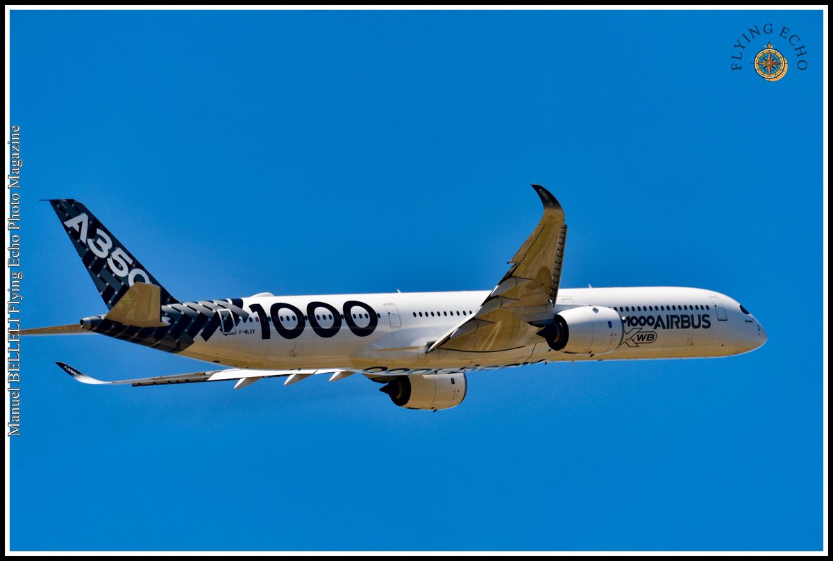 M BELLELI tweet media