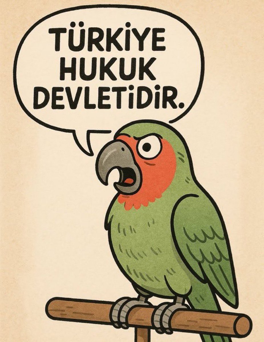 Hukuğa da  …Adalete de
Tecavüz ettiler …AİHM ‘e başvurmuş … ‼️🌪️😤😡