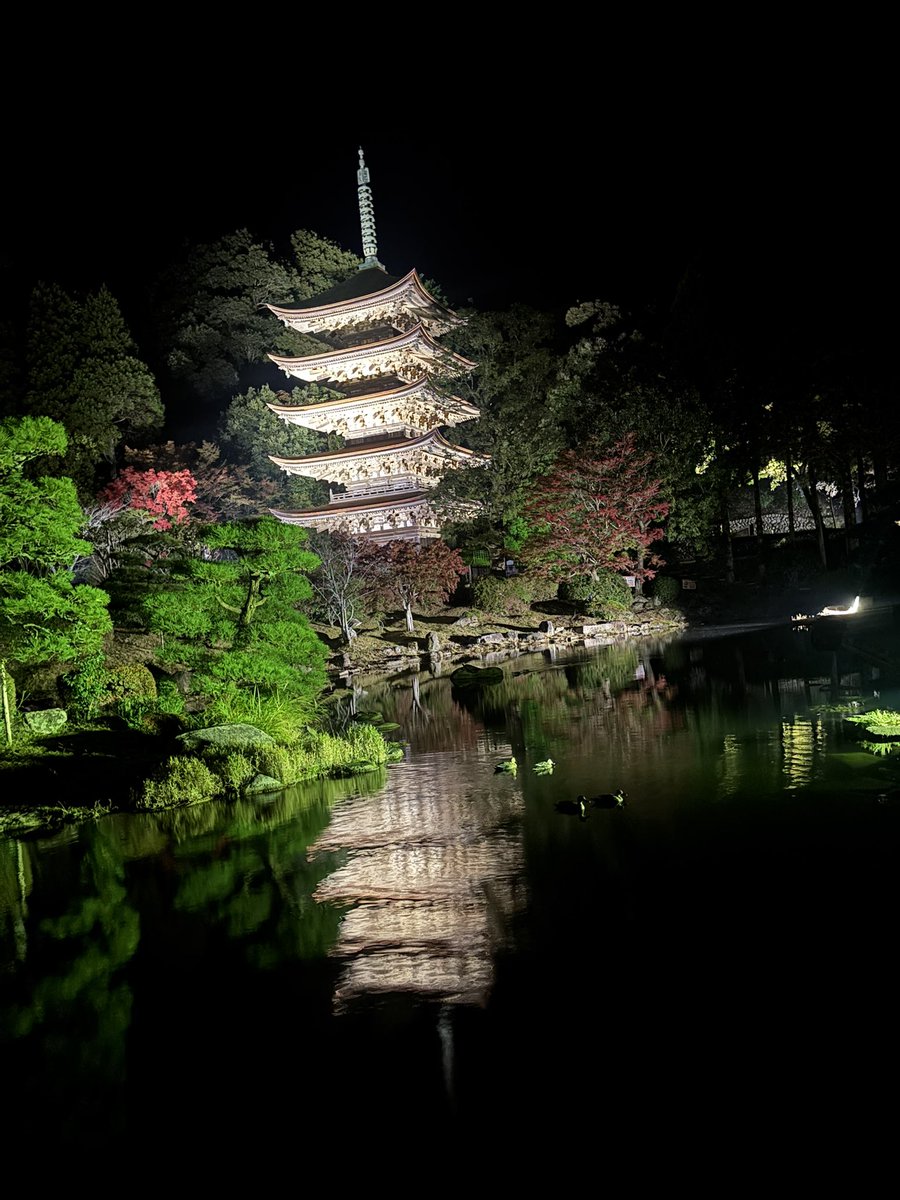 しろくろ tweet media