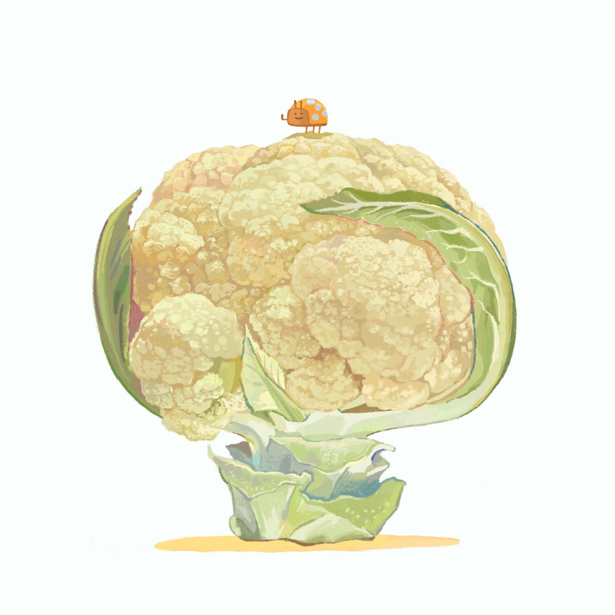 待ち合わせ場所を勘違いしているてんとう虫