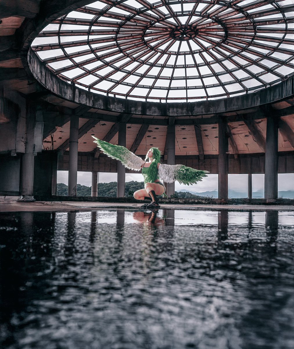 #ONEPIECE 
モネ | Monet